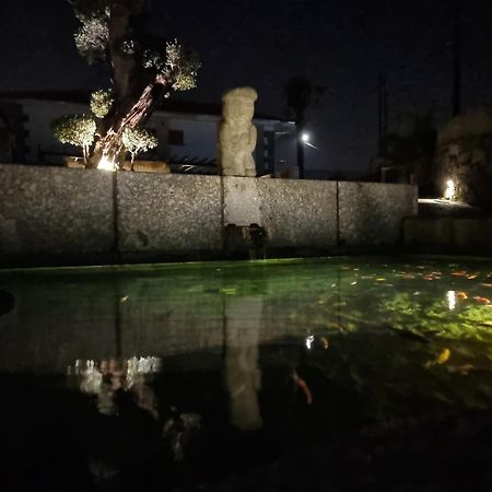 Vila Casa Da Leira Amarante Exteriér fotografie