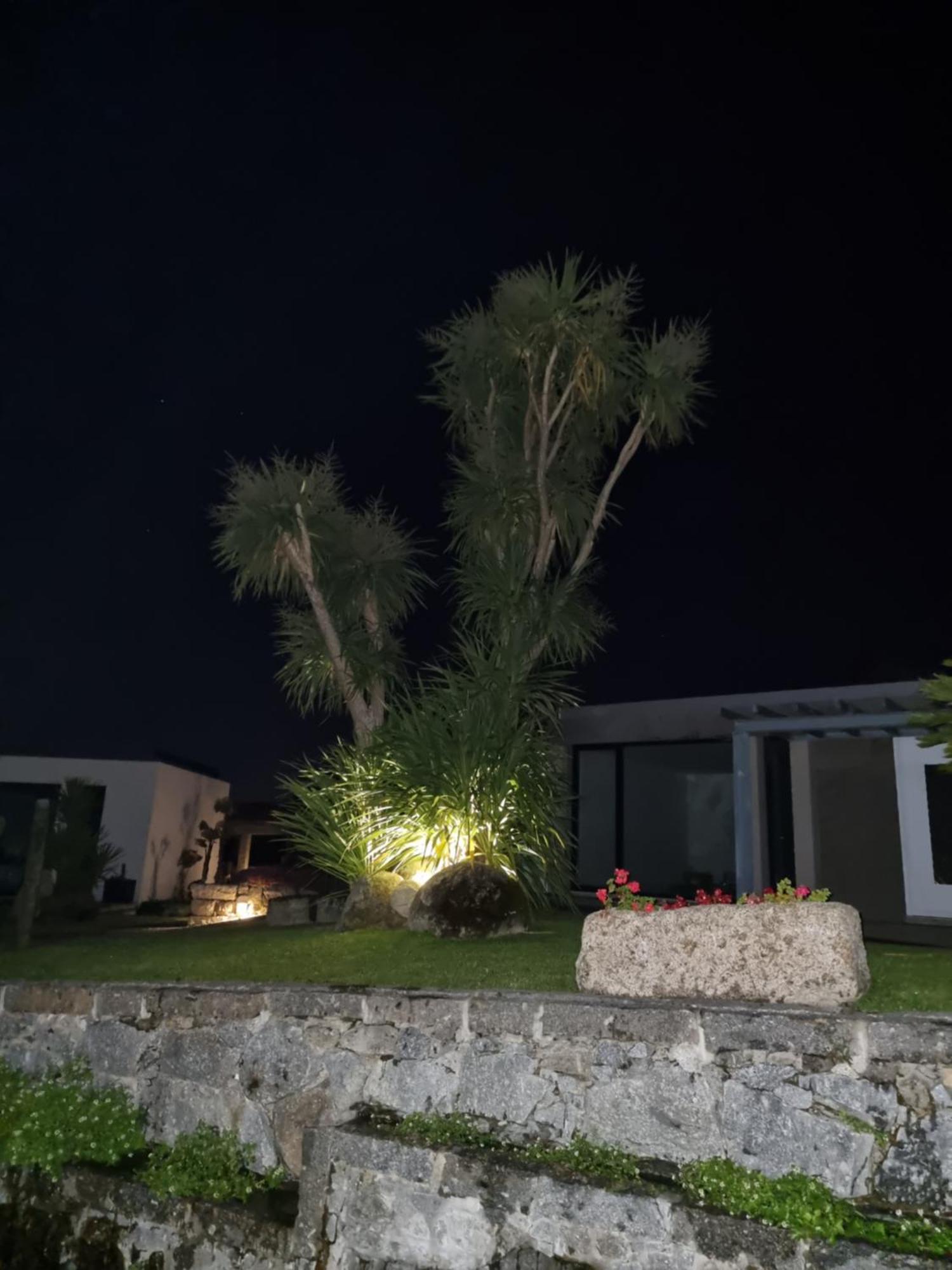 Vila Casa Da Leira Amarante Exteriér fotografie
