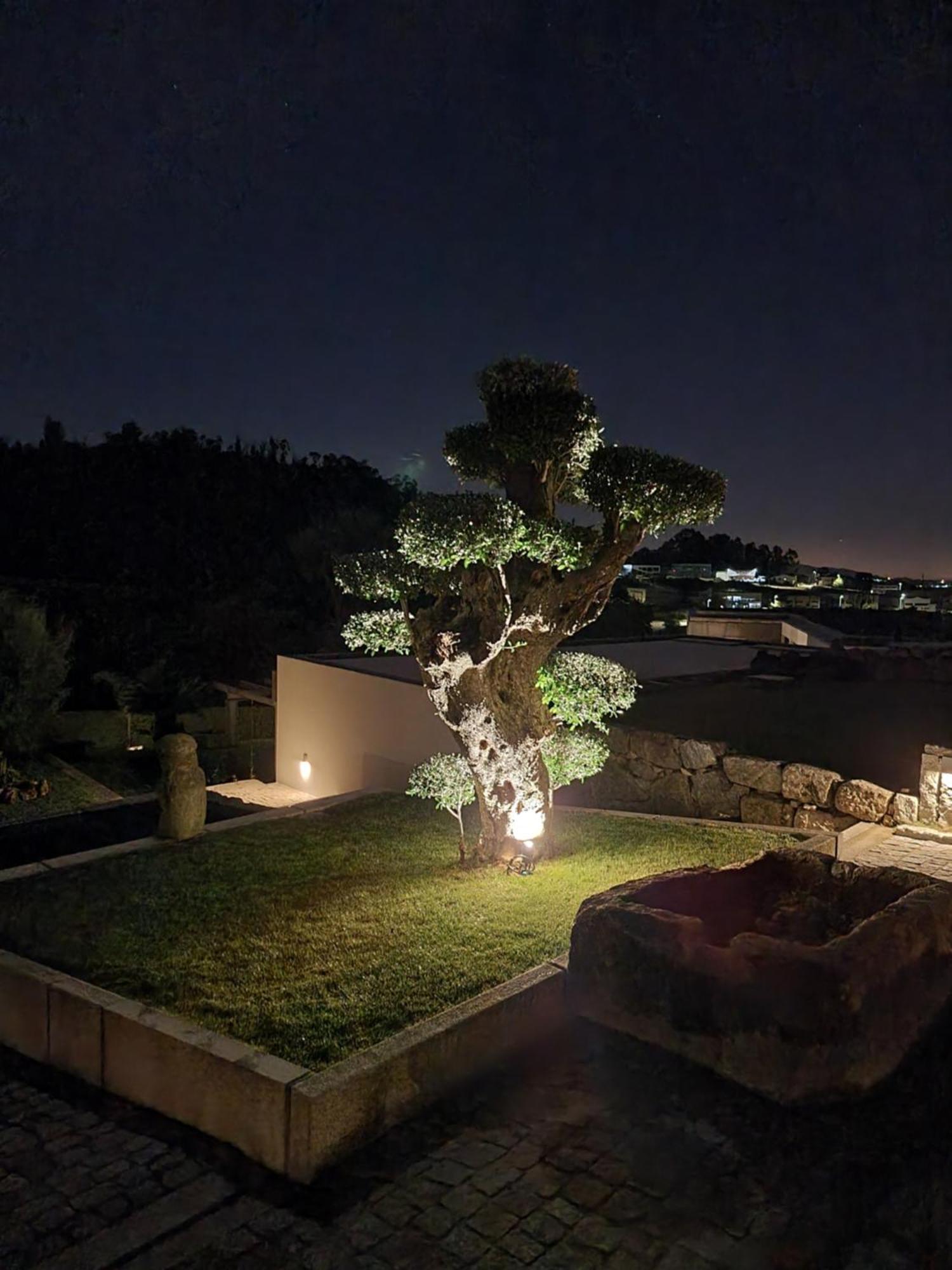 Vila Casa Da Leira Amarante Exteriér fotografie