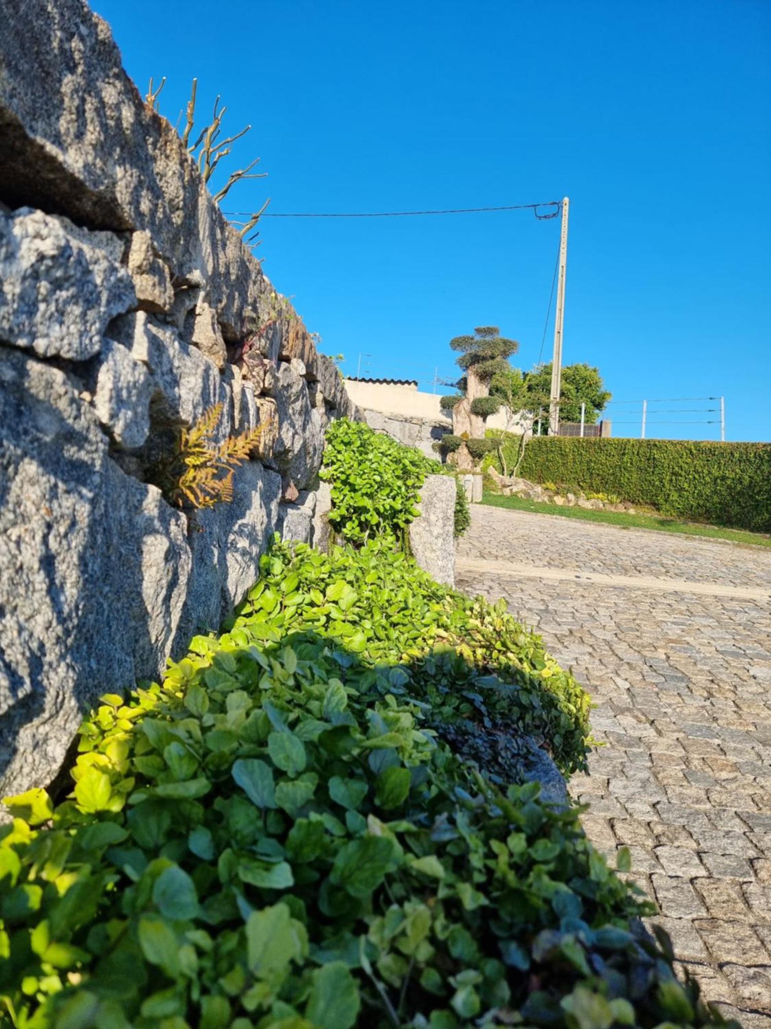 Vila Casa Da Leira Amarante Exteriér fotografie