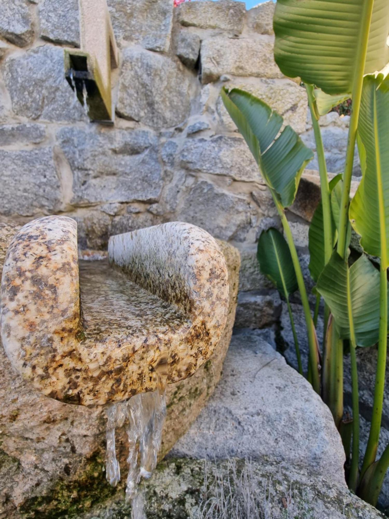 Vila Casa Da Leira Amarante Exteriér fotografie