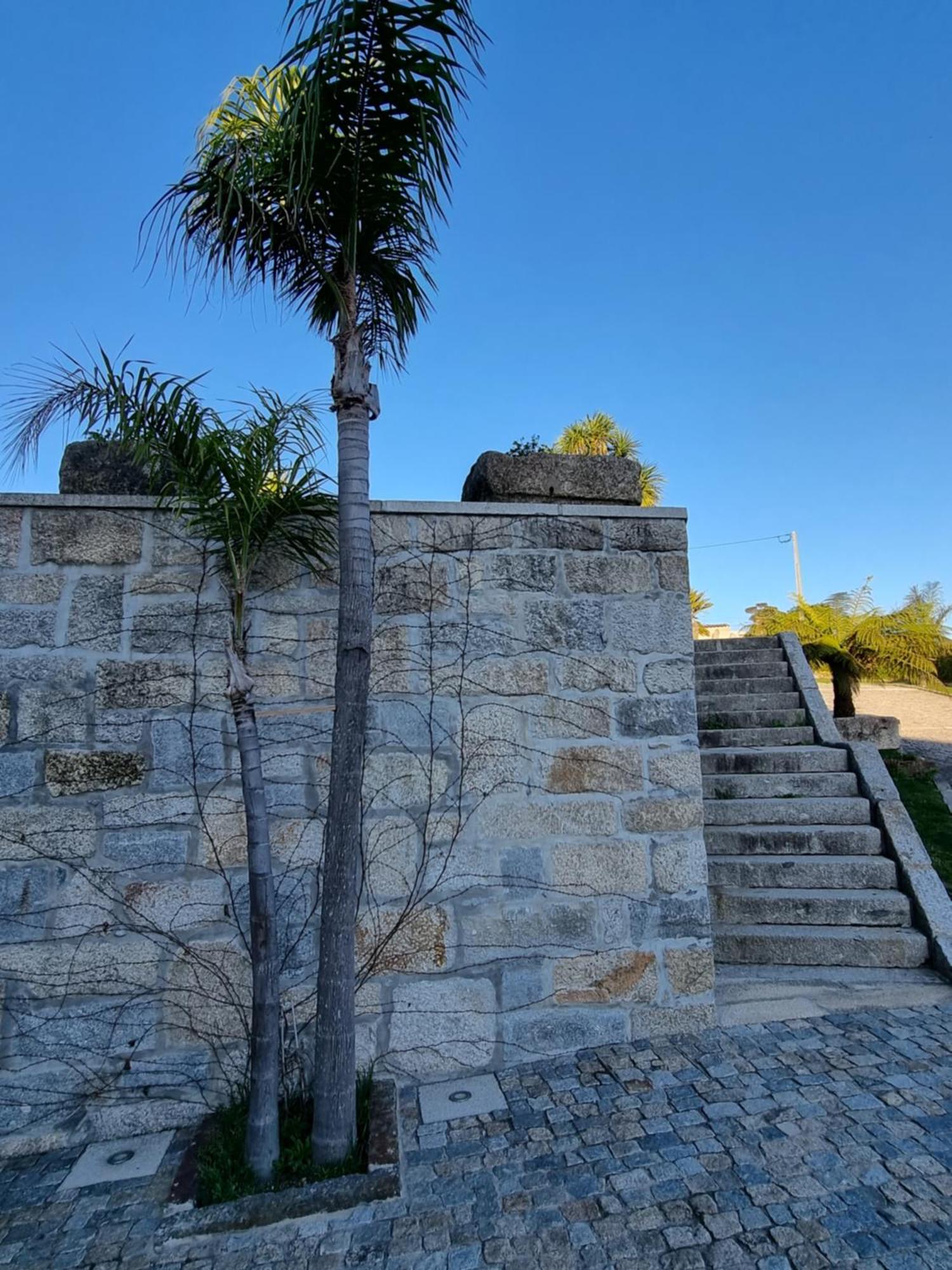 Vila Casa Da Leira Amarante Exteriér fotografie
