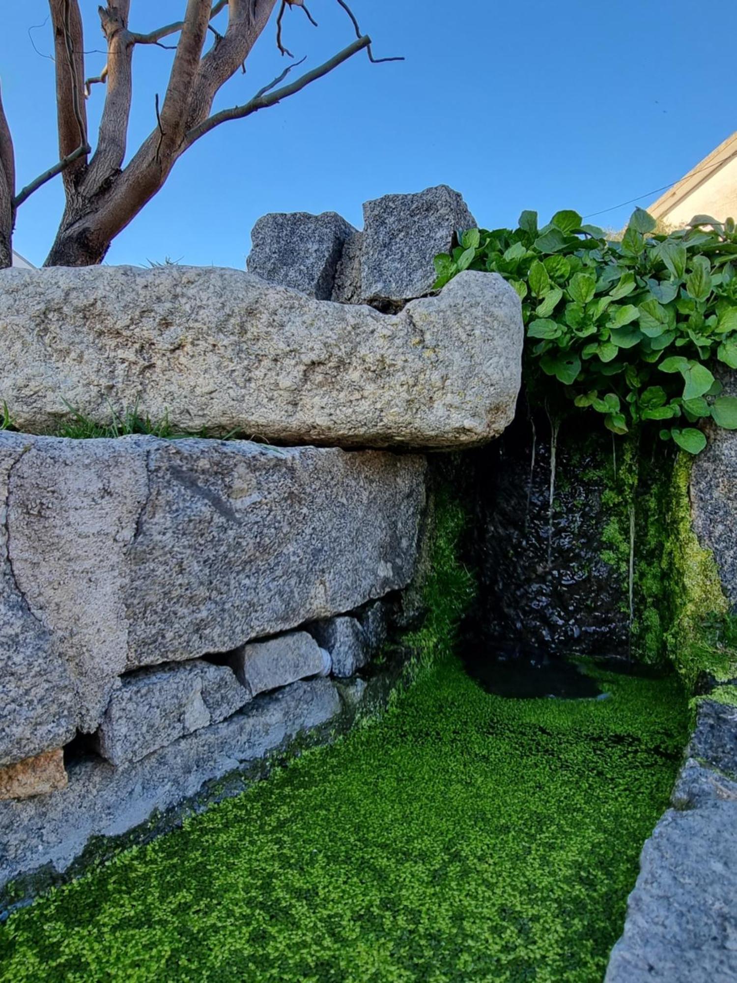 Vila Casa Da Leira Amarante Exteriér fotografie
