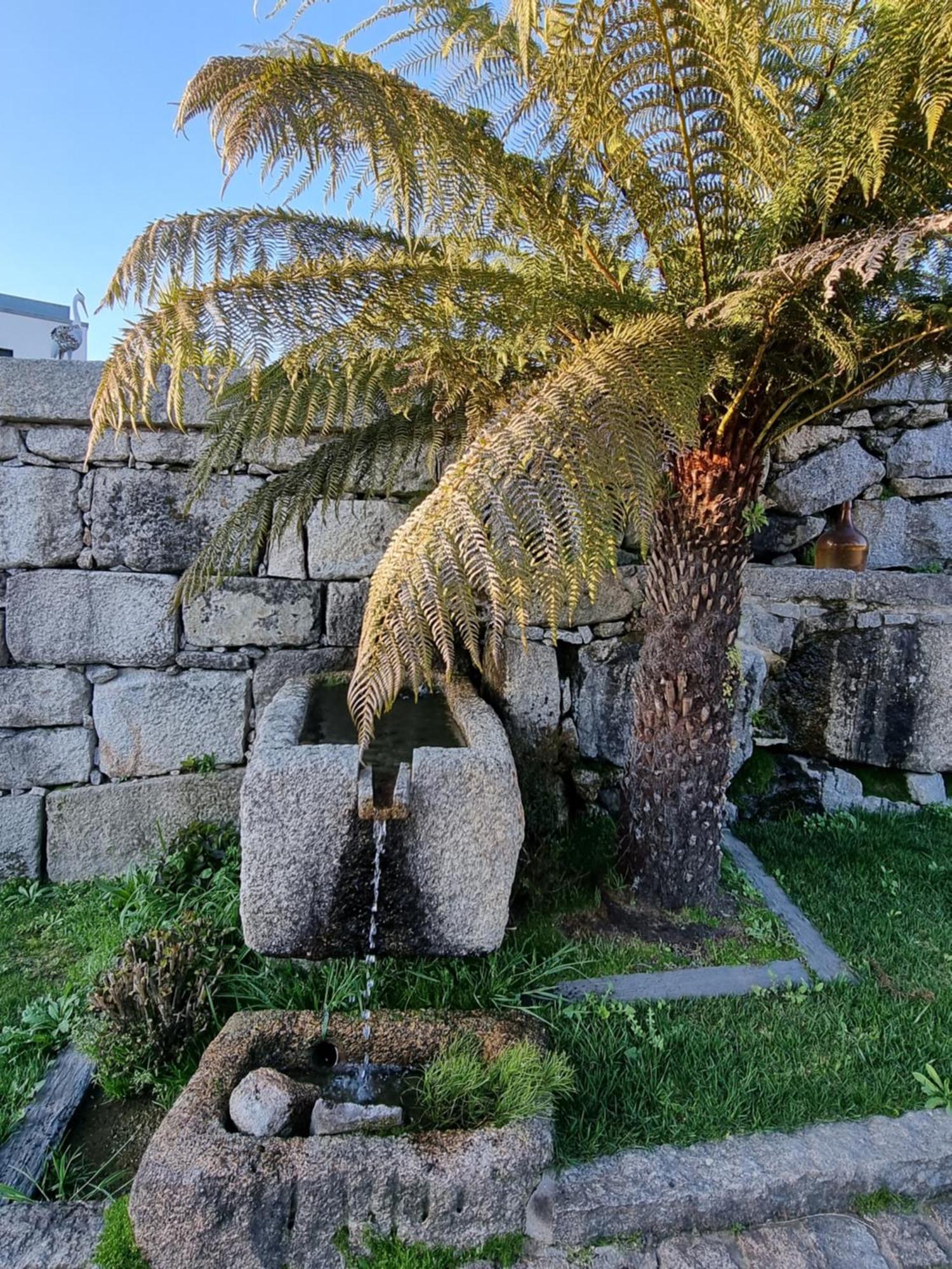Vila Casa Da Leira Amarante Exteriér fotografie
